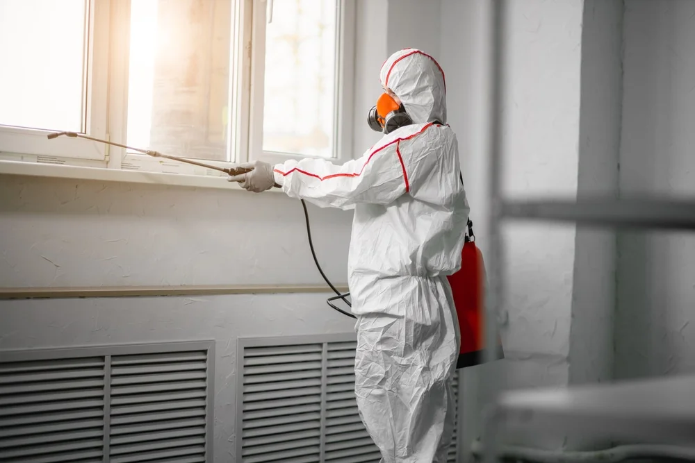 Professional mold remediation services in Locust Grove, GA